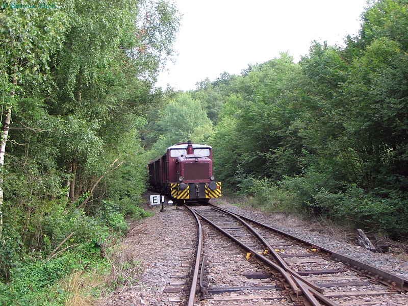 Hochwaldbahn VL 1