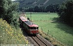 Hochwaldbahn vor Kasel