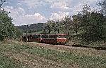 06.05.1990 Ein Sonderzug mit 798 828 macht in Lampaden Station
