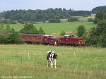 HWB VL 6 und VL 1 mit Güterzug bei Schwarzenbach am 09.08.2006